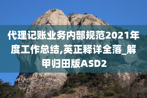 代理记账业务内部规范2021年度工作总结,英正释详全落_解甲归田版ASD2