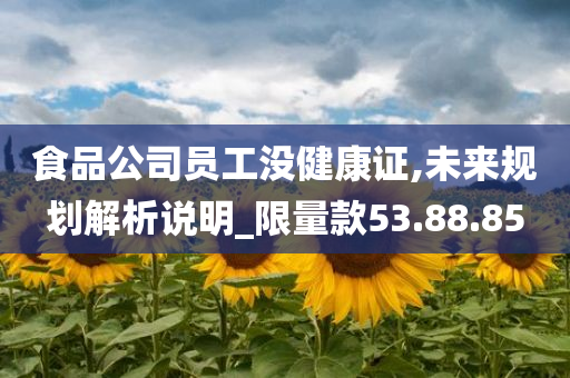 食品公司员工没健康证,未来规划解析说明_限量款53.88.85