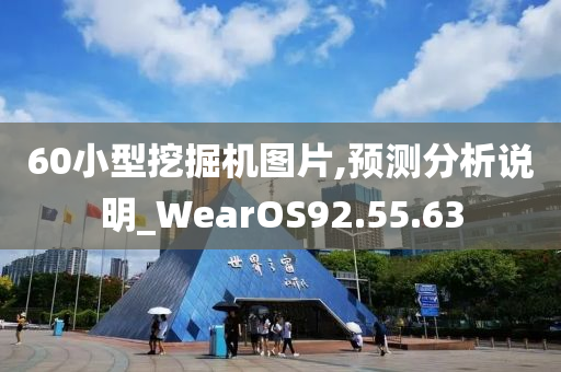 60小型挖掘机图片,预测分析说明_WearOS92.55.63