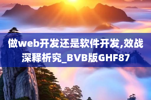 做web开发还是软件开发,效战深释析究_BVB版GHF87