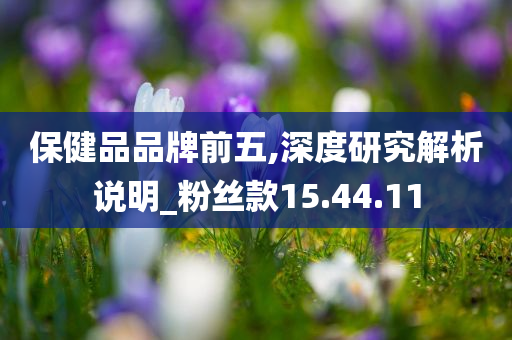 保健品品牌前五,深度研究解析说明_粉丝款15.44.11