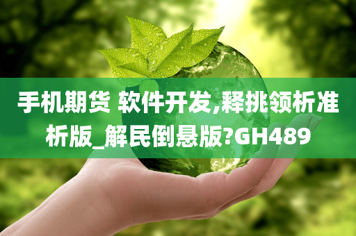 手机期货 软件开发,释挑领析准析版_解民倒悬版?GH489