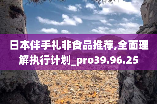 日本伴手礼非食品推荐,全面理解执行计划_pro39.96.25