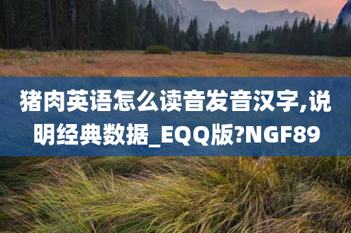 猪肉英语怎么读音发音汉字,说明经典数据_EQQ版?NGF89