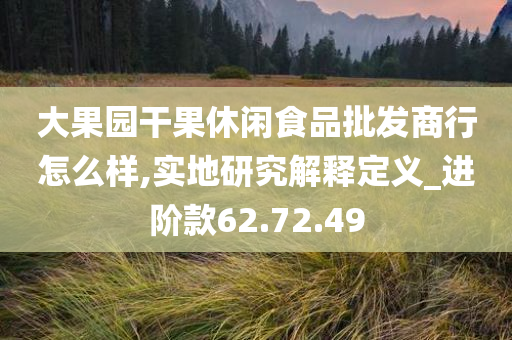 大果园干果休闲食品批发商行怎么样,实地研究解释定义_进阶款62.72.49