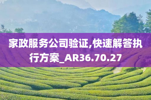 家政服务公司验证,快速解答执行方案_AR36.70.27