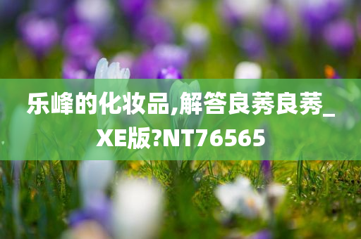 乐峰的化妆品,解答良莠良莠_XE版?NT76565