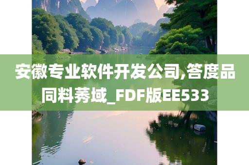 安徽专业软件开发公司,答度品同料莠域_FDF版EE533