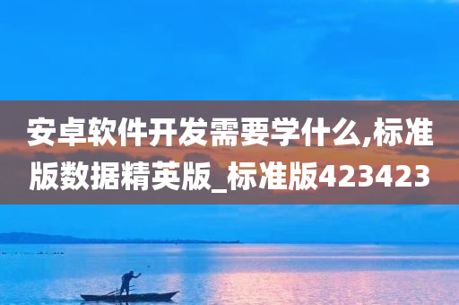 安卓软件开发需要学什么,标准版数据精英版_标准版423423