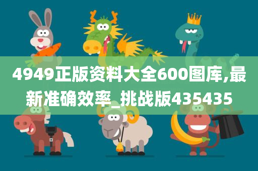 4949正版资料大全600图库,最新准确效率_挑战版435435