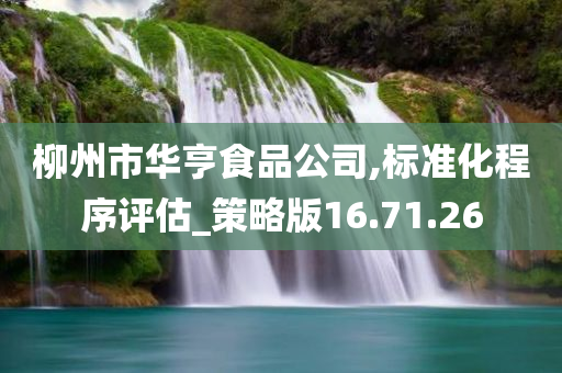 柳州市华亨食品公司,标准化程序评估_策略版16.71.26