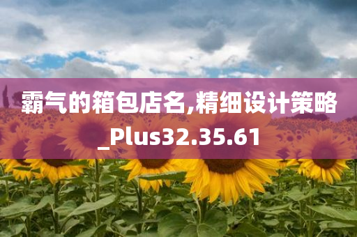 霸气的箱包店名,精细设计策略_Plus32.35.61