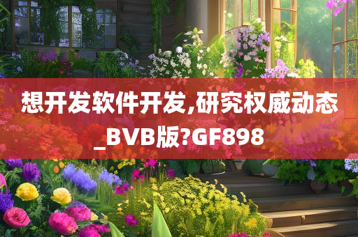 想开发软件开发,研究权威动态_BVB版?GF898