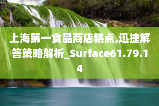 上海第一食品商店糕点,迅捷解答策略解析_Surface61.79.14