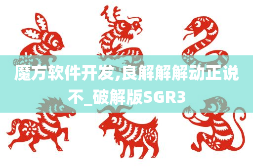 魔方软件开发,良解解解动正说不_破解版SGR3