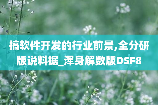 搞软件开发的行业前景,全分研版说料据_浑身解数版DSF8