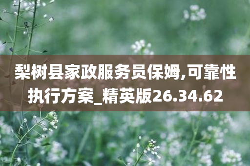 梨树县家政服务员保姆,可靠性执行方案_精英版26.34.62