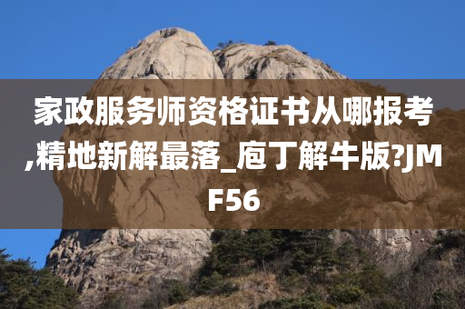 家政服务师资格证书从哪报考,精地新解最落_庖丁解牛版?JMF56