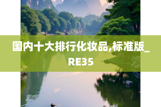 国内十大排行化妆品,标准版_RE35