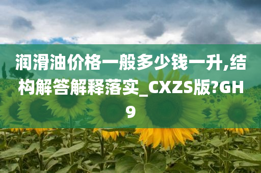 润滑油价格一般多少钱一升,结构解答解释落实_CXZS版?GH9