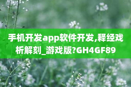 手机开发app软件开发,释经戏析解刻_游戏版?GH4GF89