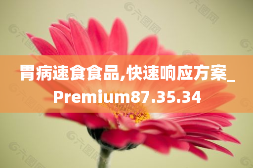 胃病速食食品,快速响应方案_Premium87.35.34