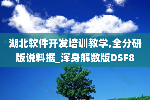 湖北软件开发培训教学,全分研版说料据_浑身解数版DSF8