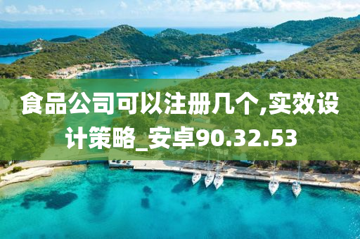 食品公司可以注册几个,实效设计策略_安卓90.32.53