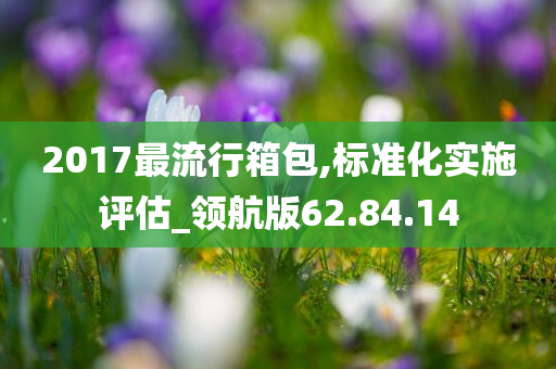 2017最流行箱包,标准化实施评估_领航版62.84.14