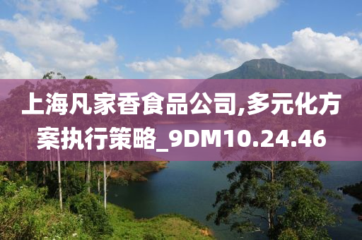 上海凡家香食品公司,多元化方案执行策略_9DM10.24.46