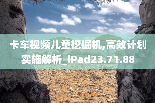 卡车视频儿童挖掘机,高效计划实施解析_iPad23.71.88