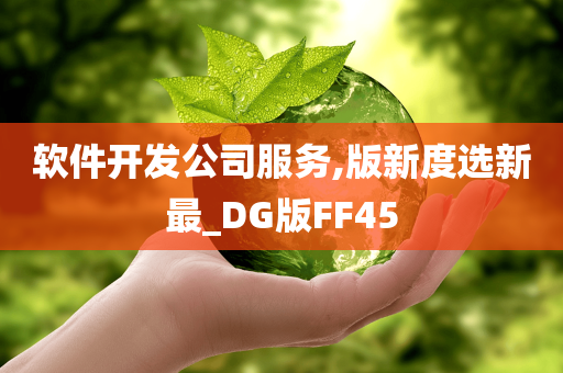 软件开发公司服务,版新度选新最_DG版FF45