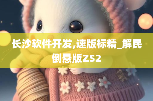 长沙软件开发,速版标精_解民倒悬版ZS2