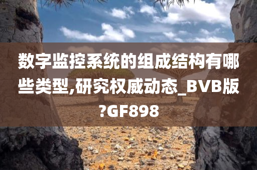 数字监控系统的组成结构有哪些类型,研究权威动态_BVB版?GF898