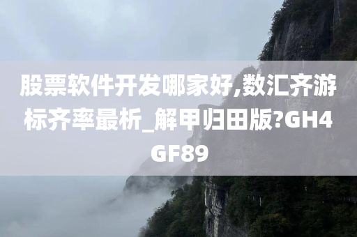 股票软件开发哪家好,数汇齐游标齐率最析_解甲归田版?GH4GF89