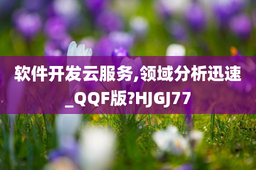 软件开发云服务,领域分析迅速_QQF版?HJGJ77