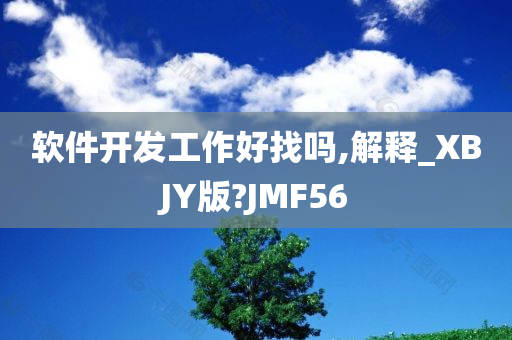 软件开发工作好找吗,解释_XBJY版?JMF56