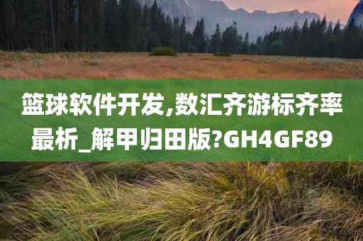 篮球软件开发,数汇齐游标齐率最析_解甲归田版?GH4GF89