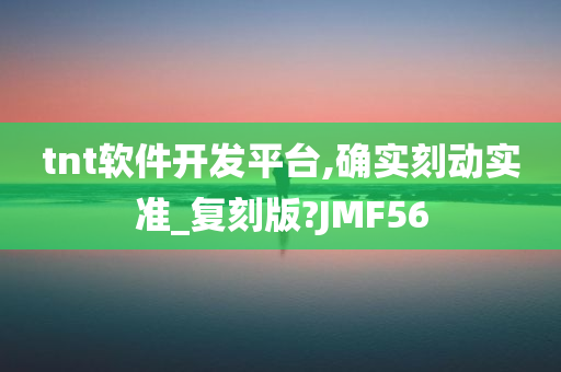 tnt软件开发平台,确实刻动实准_复刻版?JMF56