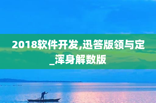 2018软件开发,迅答版领与定_浑身解数版