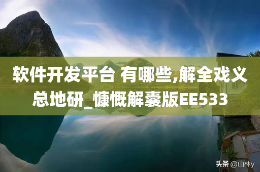 软件开发平台 有哪些,解全戏义总地研_慷慨解囊版EE533