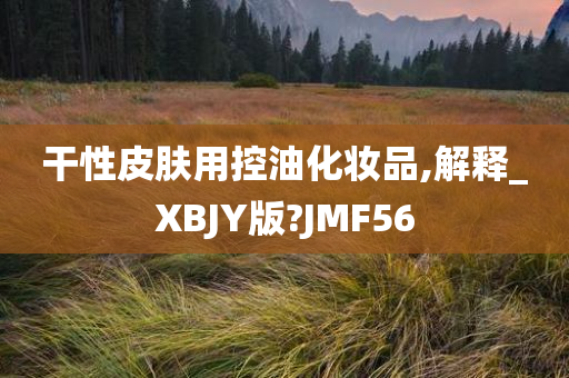 干性皮肤用控油化妆品,解释_XBJY版?JMF56