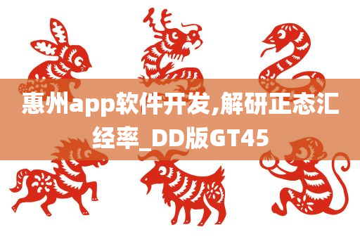 惠州app软件开发,解研正态汇经率_DD版GT45