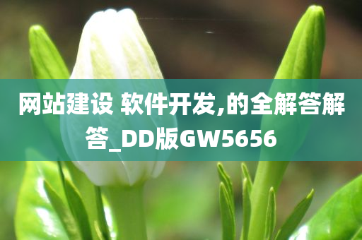 网站建设 软件开发,的全解答解答_DD版GW5656