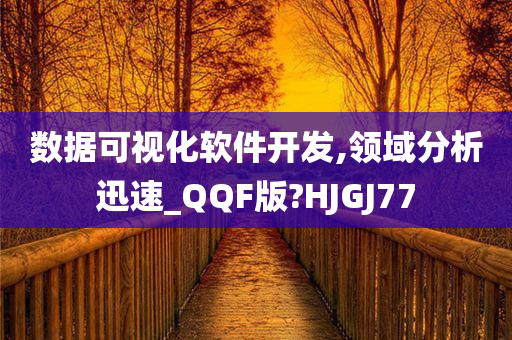 数据可视化软件开发,领域分析迅速_QQF版?HJGJ77