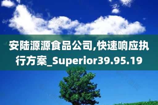 安陆源源食品公司,快速响应执行方案_Superior39.95.19