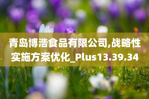 青岛博浩食品有限公司,战略性实施方案优化_Plus13.39.34