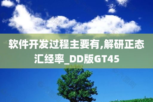 软件开发过程主要有,解研正态汇经率_DD版GT45