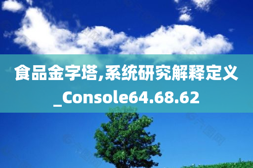 食品金字塔,系统研究解释定义_Console64.68.62