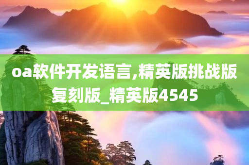 oa软件开发语言,精英版挑战版复刻版_精英版4545